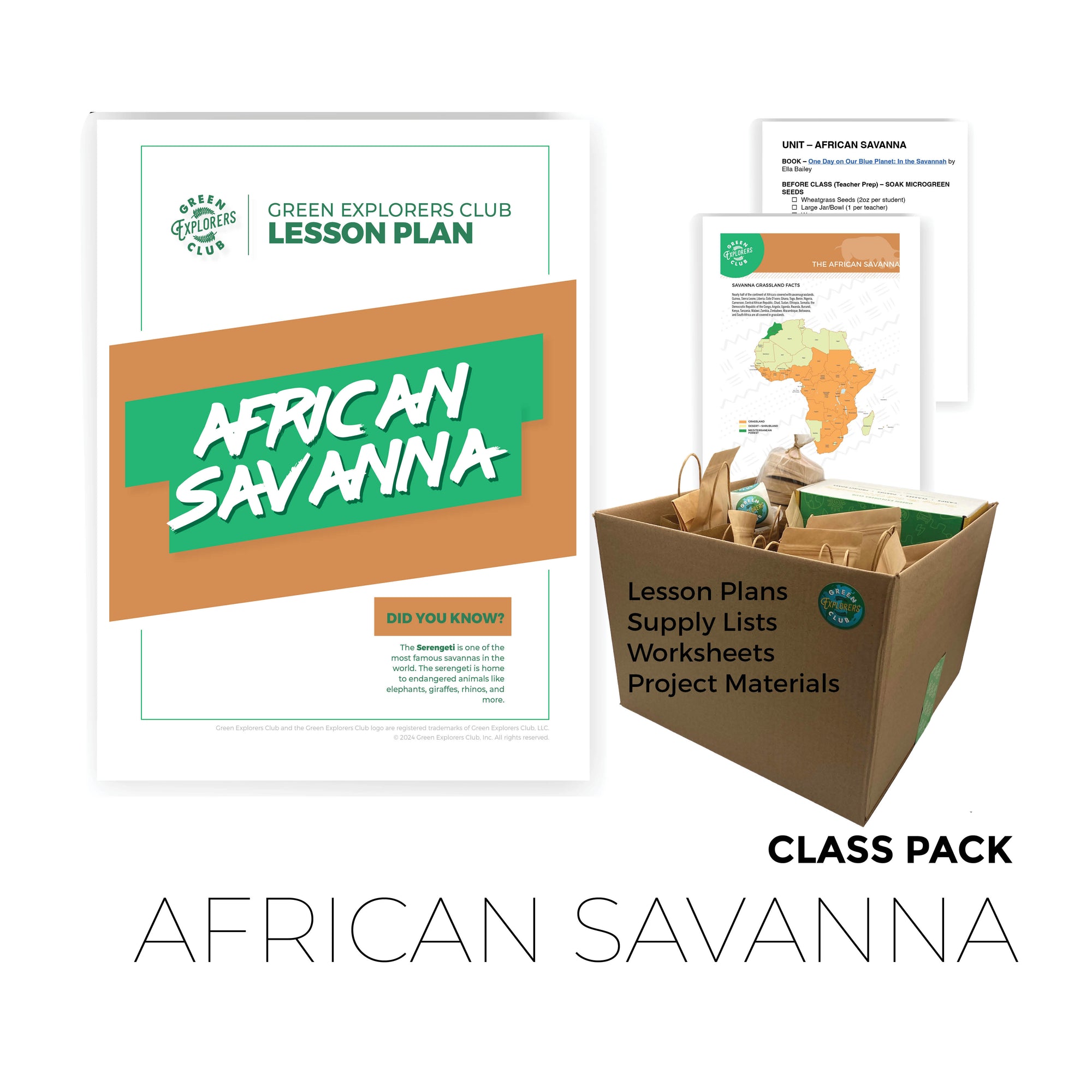 African Savanna Class Pack (12-Pack)