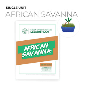 African Savanna Lesson Plan