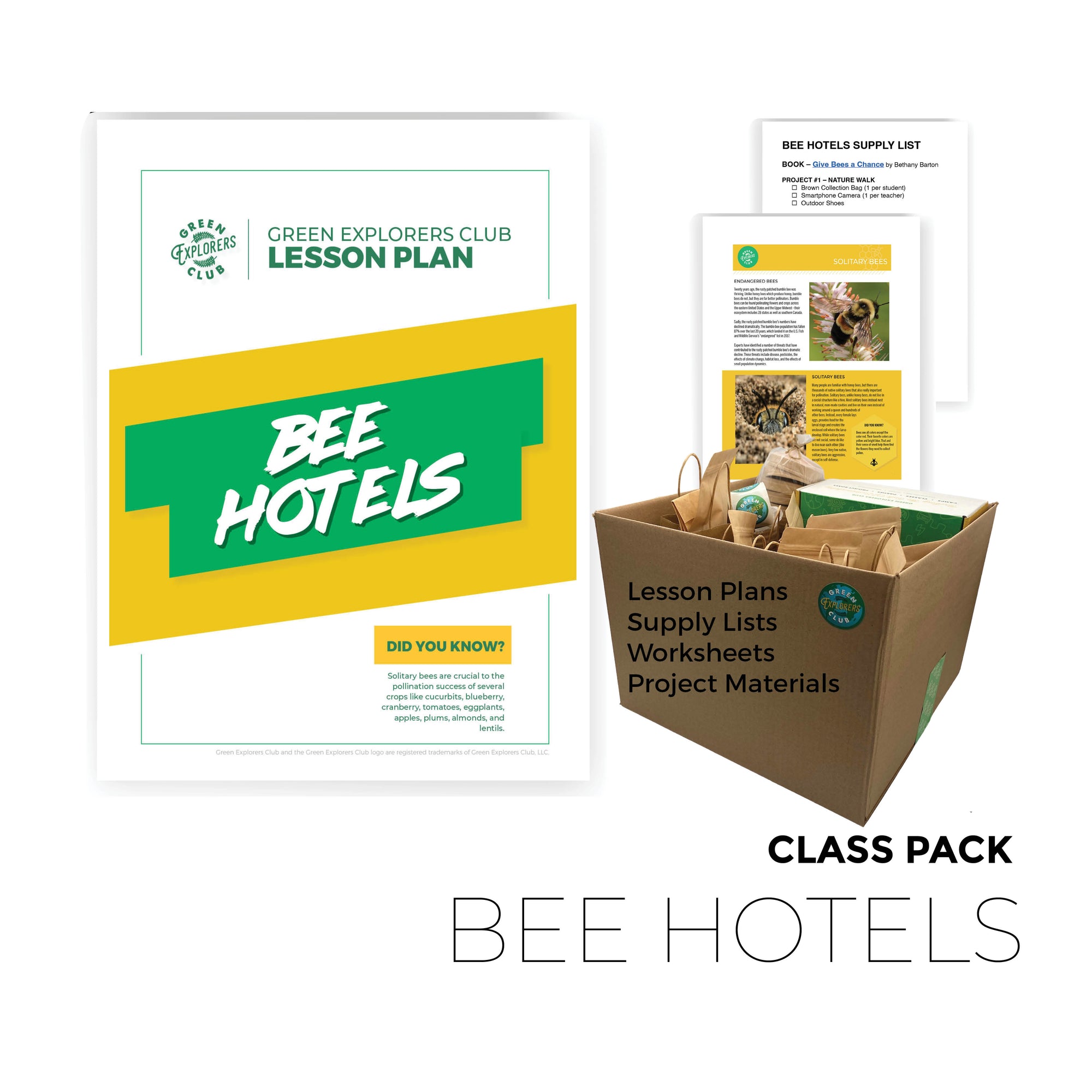Bee Hotels Class Pack (12-Pack)