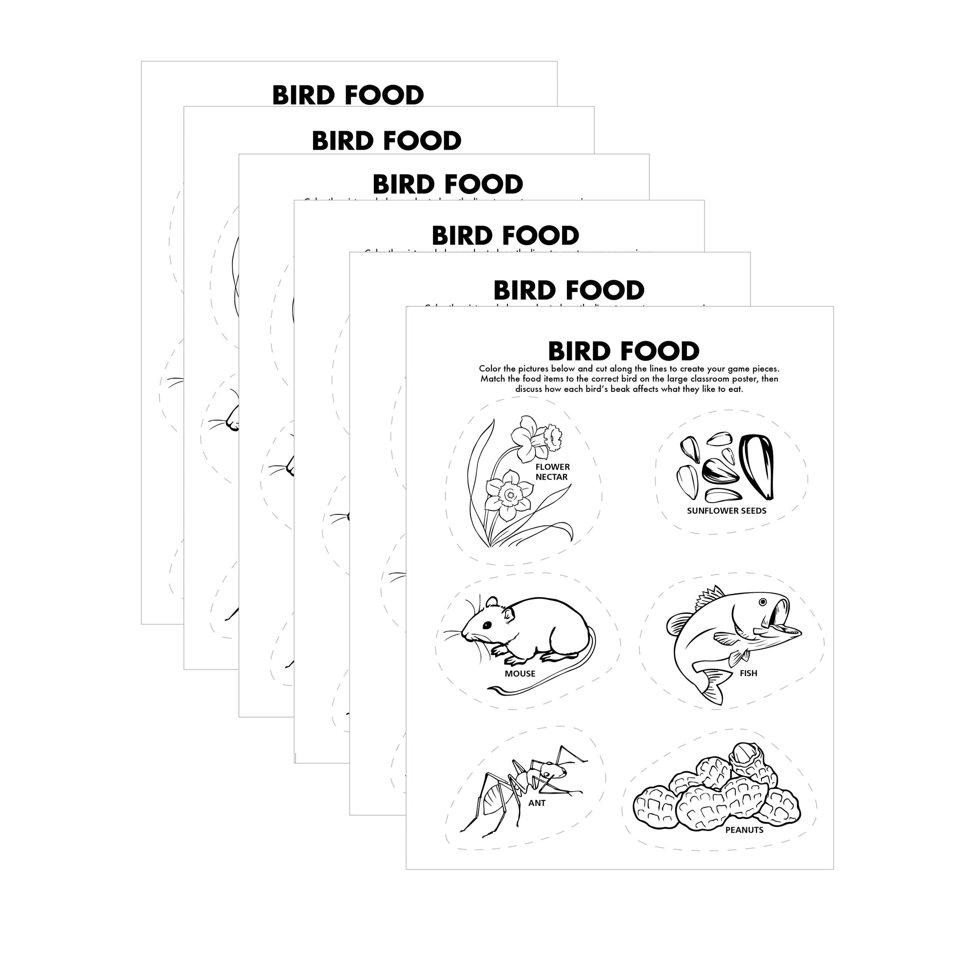 Bird Food Activity Sheet