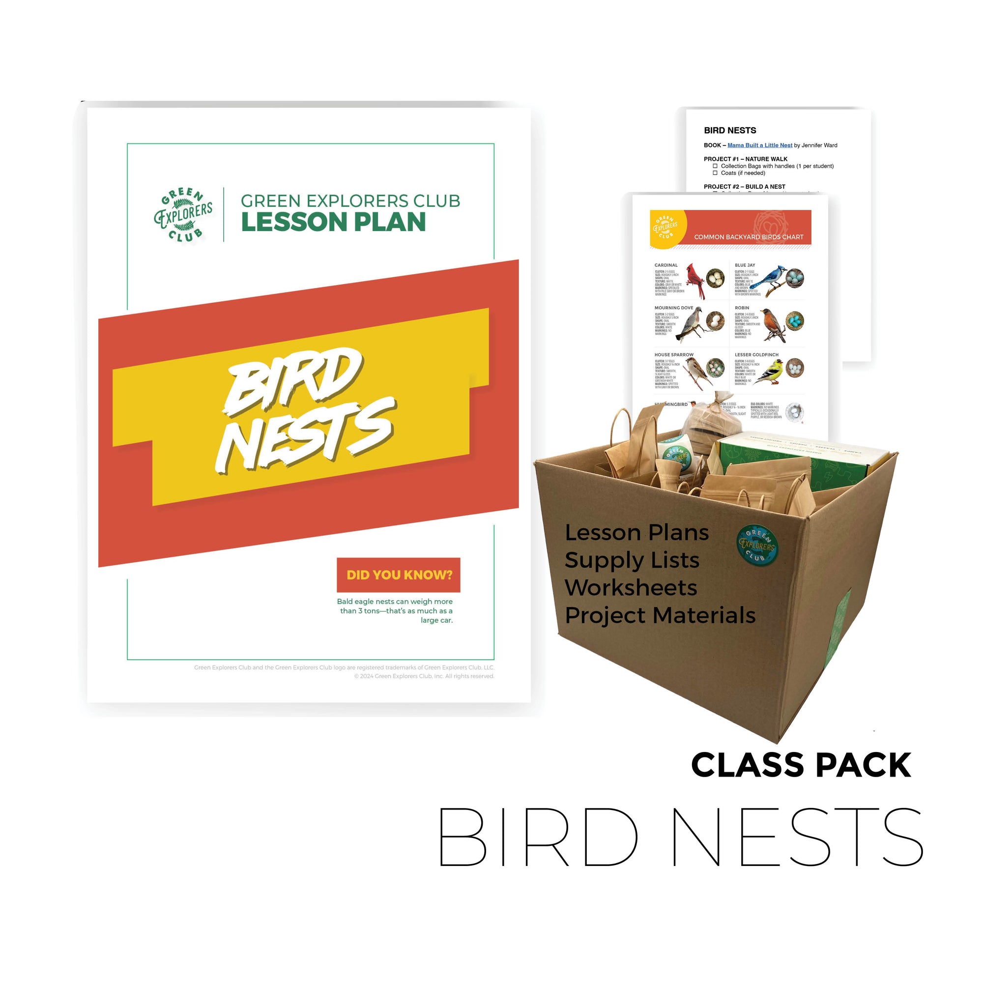 Bird Nests Class Pack (12-Pack)