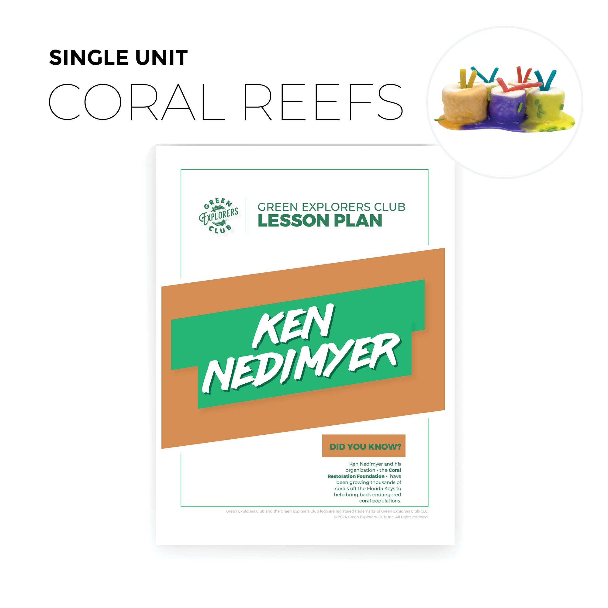 Coral Reef (Ken Nedimyer) Lesson Plan
