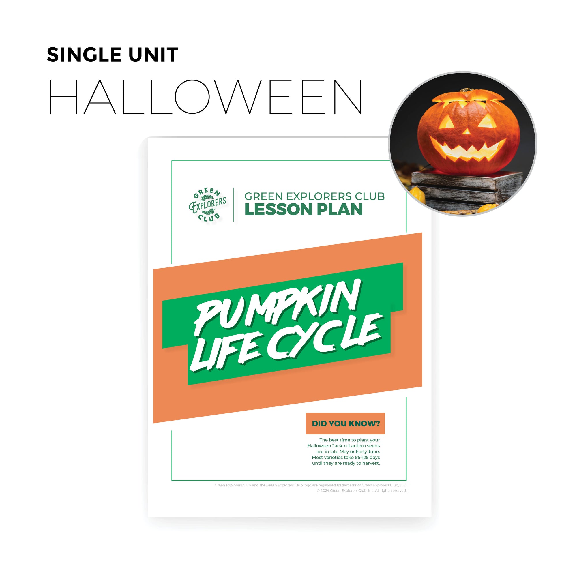 Pumpkin Life Cycle Lesson Plan