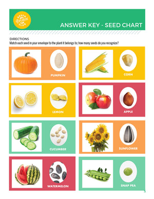 Garden Seeds Lesson Plan
