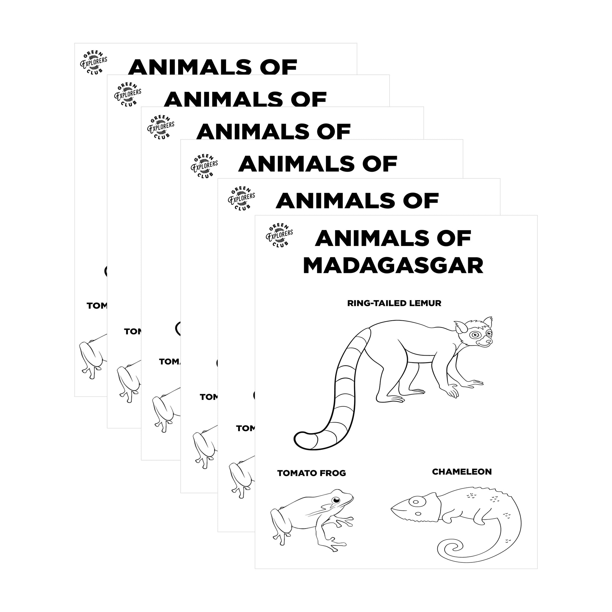 Animals of Madagascar Activity Sheet