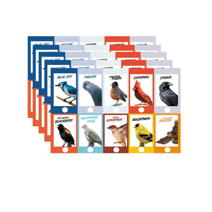 Urban Birding Card
