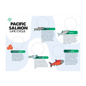 Pacific Salmon Life Cycle Board