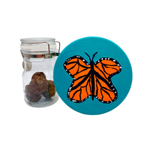 Monarch Seed Balls Activity Box